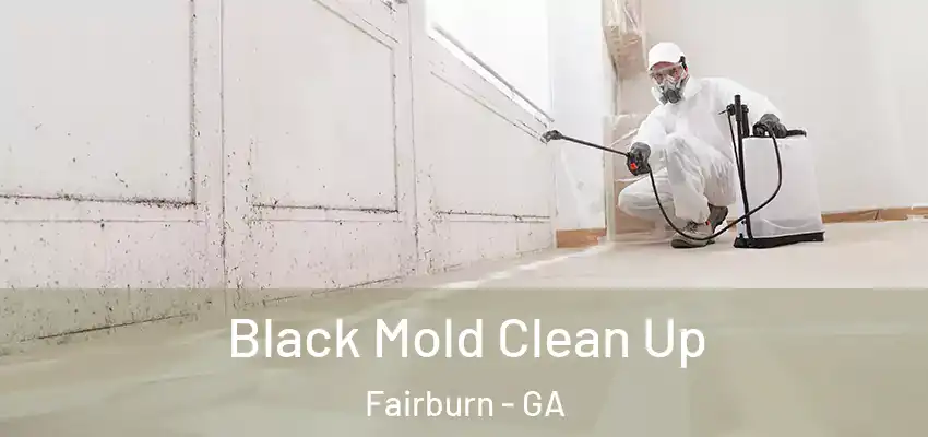 Black Mold Clean Up Fairburn - GA