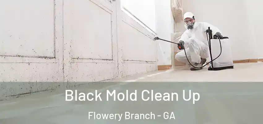 Black Mold Clean Up Flowery Branch - GA