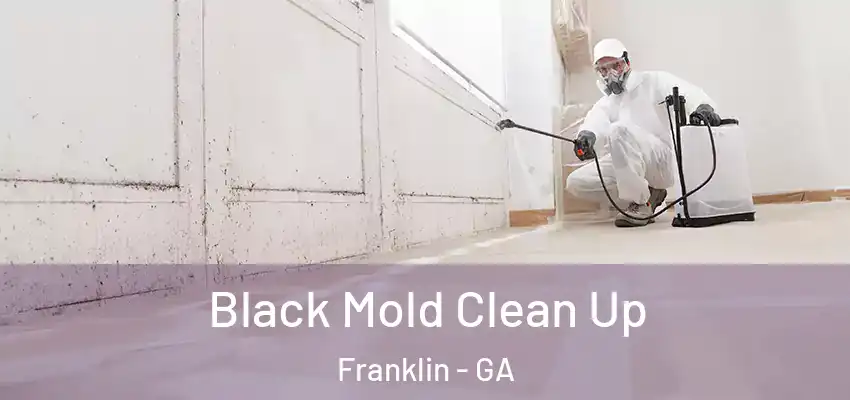 Black Mold Clean Up Franklin - GA