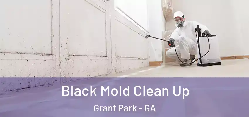 Black Mold Clean Up Grant Park - GA