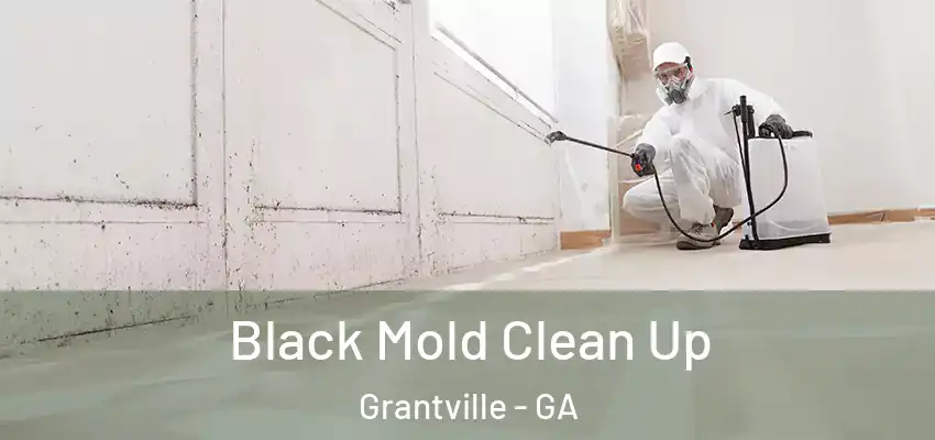 Black Mold Clean Up Grantville - GA