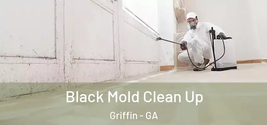 Black Mold Clean Up Griffin - GA