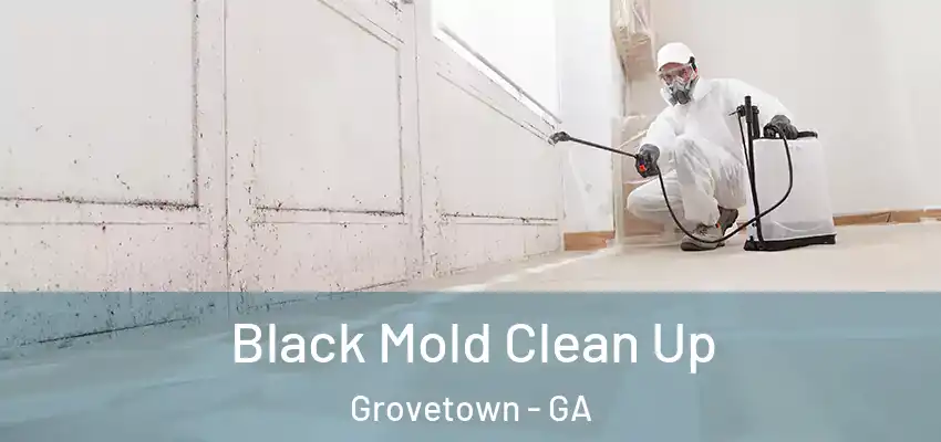 Black Mold Clean Up Grovetown - GA