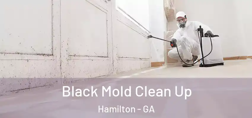 Black Mold Clean Up Hamilton - GA