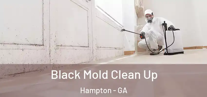 Black Mold Clean Up Hampton - GA