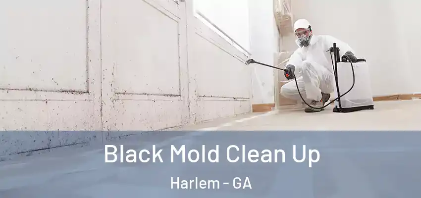  Black Mold Clean Up Harlem - GA