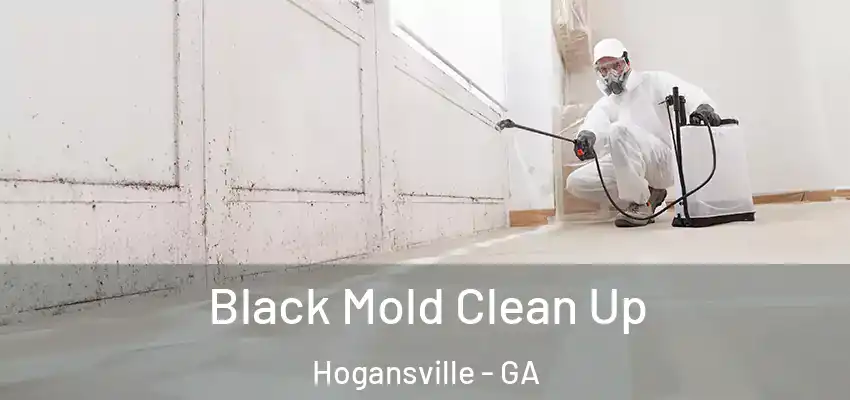 Black Mold Clean Up Hogansville - GA