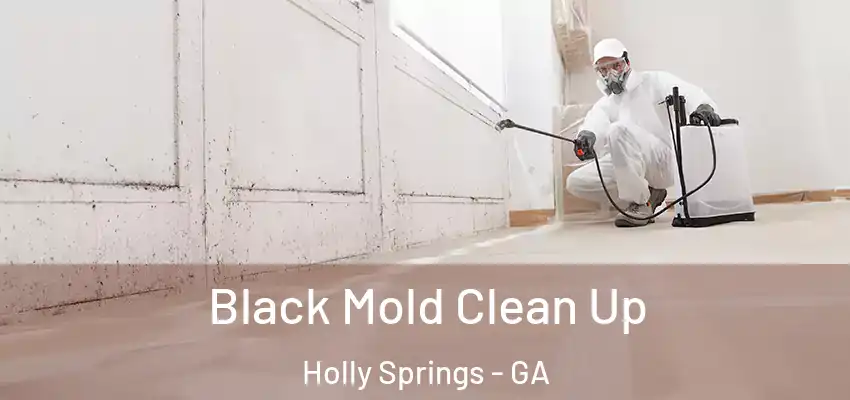 Black Mold Clean Up Holly Springs - GA