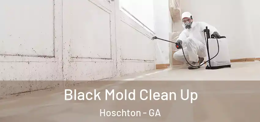 Black Mold Clean Up Hoschton - GA