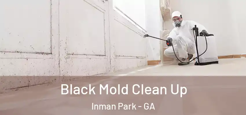 Black Mold Clean Up Inman Park - GA