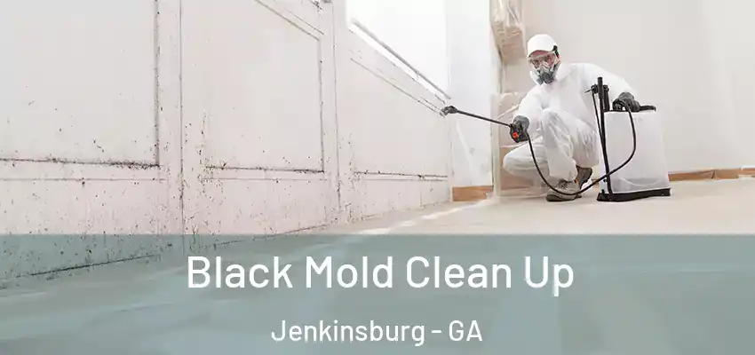 Black Mold Clean Up Jenkinsburg - GA