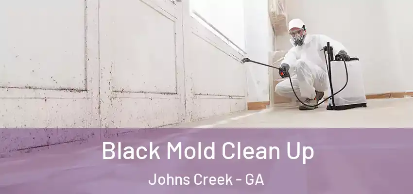 Black Mold Clean Up Johns Creek - GA