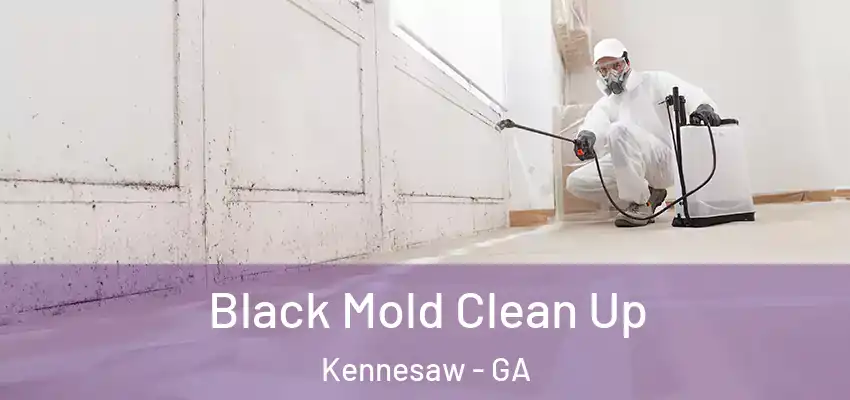 Black Mold Clean Up Kennesaw - GA