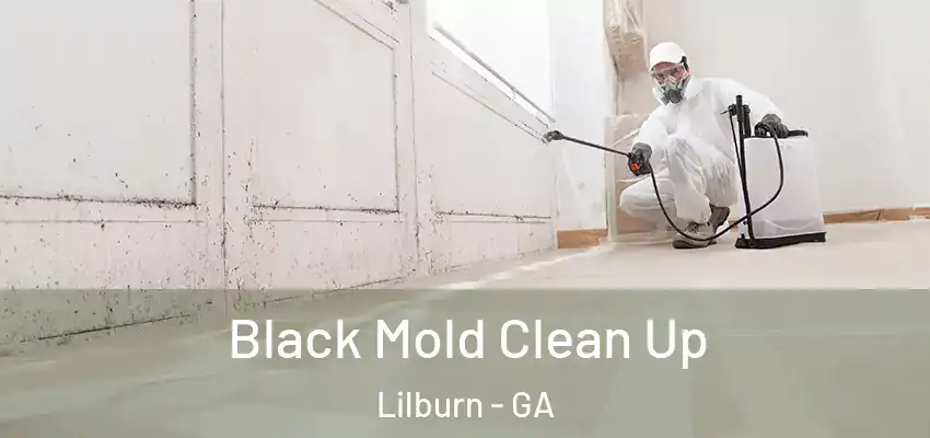 Black Mold Clean Up Lilburn - GA