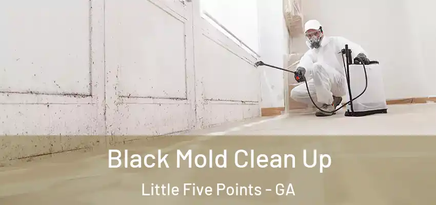 Black Mold Clean Up Little Five Points - GA