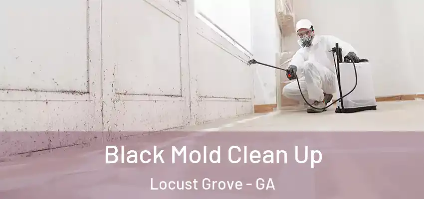 Black Mold Clean Up Locust Grove - GA