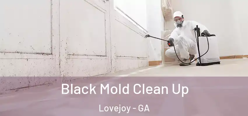 Black Mold Clean Up Lovejoy - GA