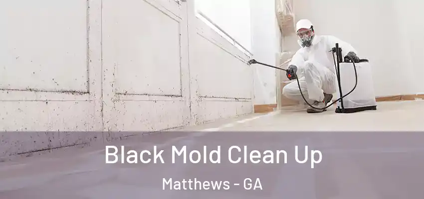 Black Mold Clean Up Matthews - GA