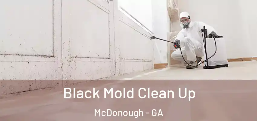 Black Mold Clean Up McDonough - GA