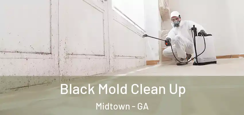Black Mold Clean Up Midtown - GA