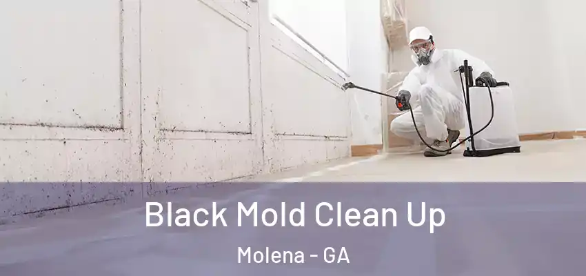  Black Mold Clean Up Molena - GA