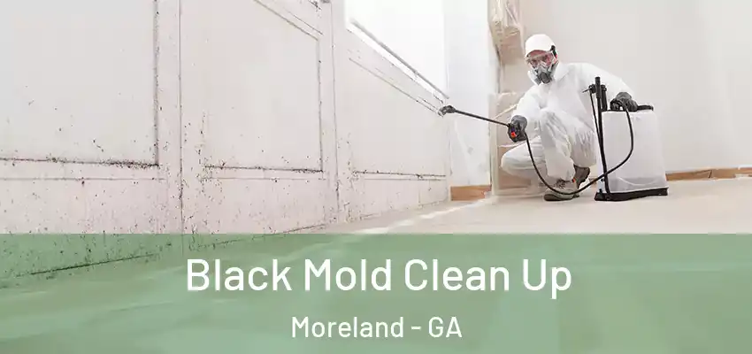 Black Mold Clean Up Moreland - GA