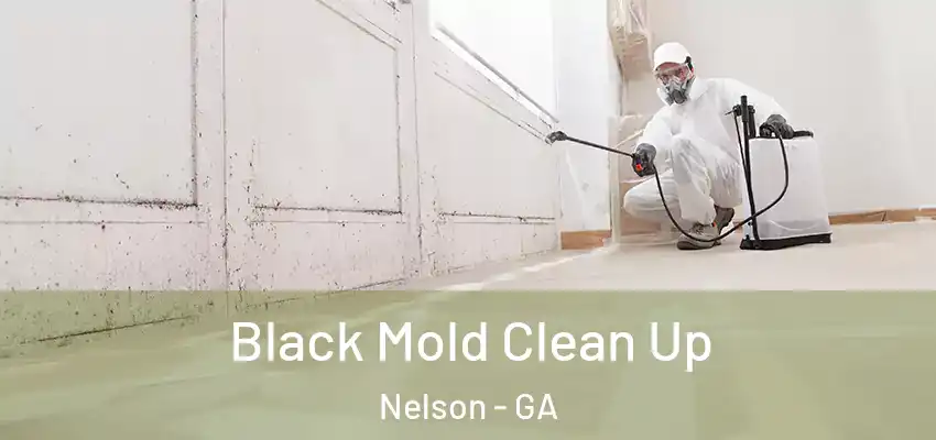 Black Mold Clean Up Nelson - GA