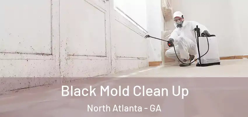 Black Mold Clean Up North Atlanta - GA