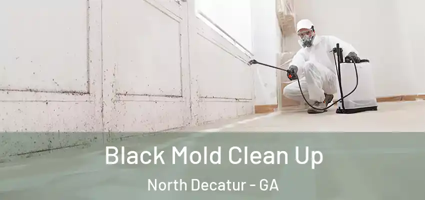 Black Mold Clean Up North Decatur - GA