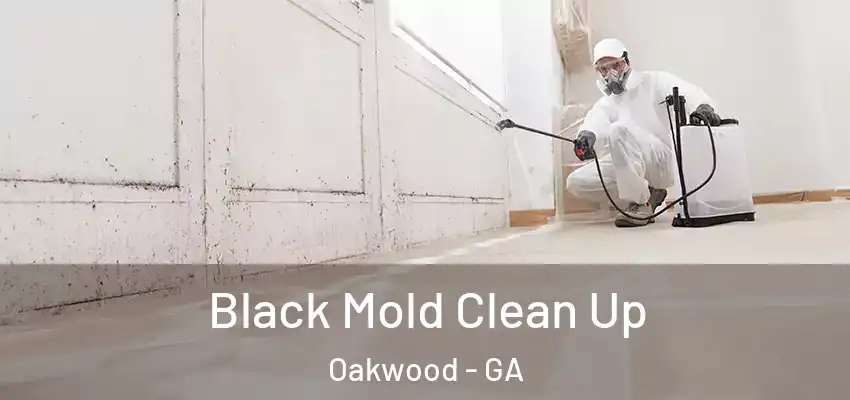 Black Mold Clean Up Oakwood - GA