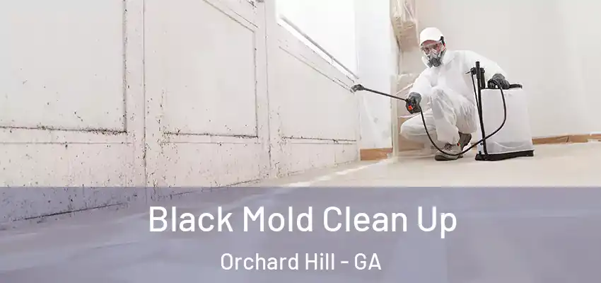  Black Mold Clean Up Orchard Hill - GA