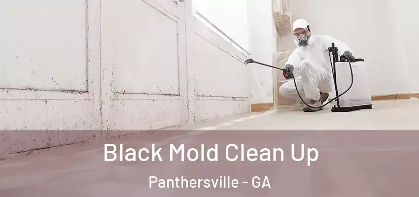 Black Mold Clean Up Panthersville - GA