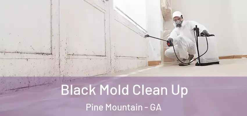 Black Mold Clean Up Pine Mountain - GA
