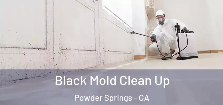 Black Mold Clean Up Powder Springs - GA