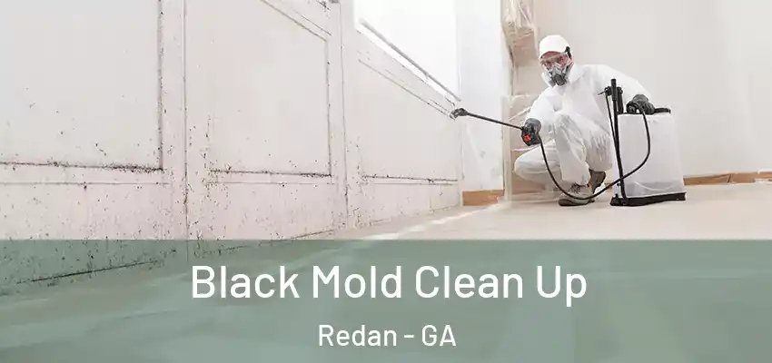 Black Mold Clean Up Redan - GA