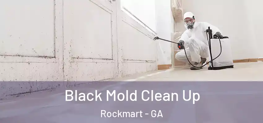 Black Mold Clean Up Rockmart - GA