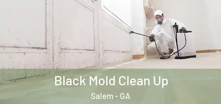Black Mold Clean Up Salem - GA