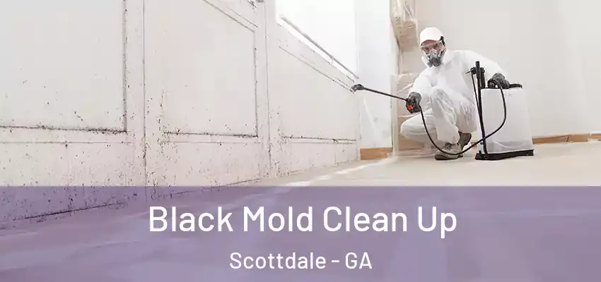 Black Mold Clean Up Scottdale - GA