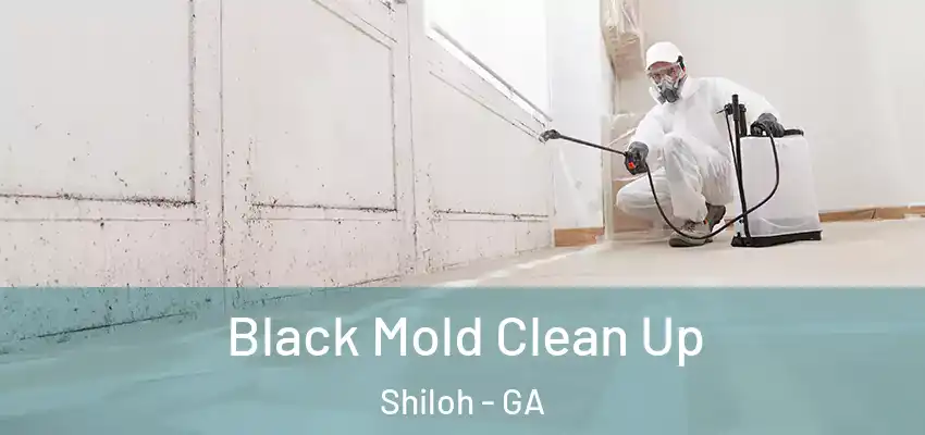 Black Mold Clean Up Shiloh - GA
