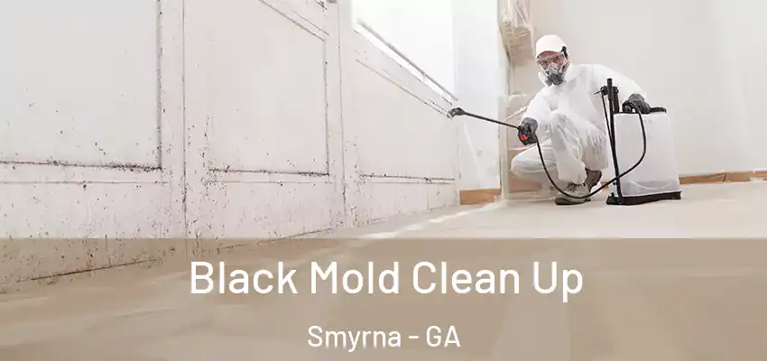 Black Mold Clean Up Smyrna - GA
