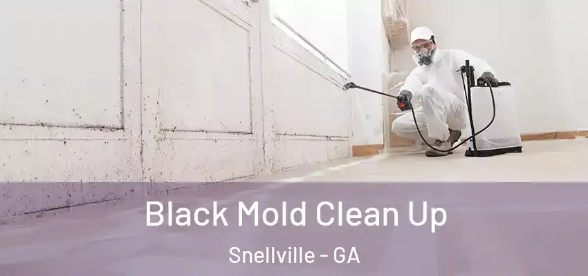 Black Mold Clean Up Snellville - GA