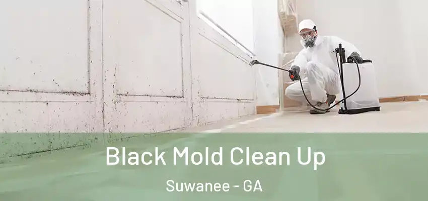  Black Mold Clean Up Suwanee - GA