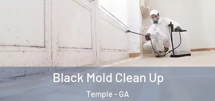 Black Mold Clean Up Temple - GA