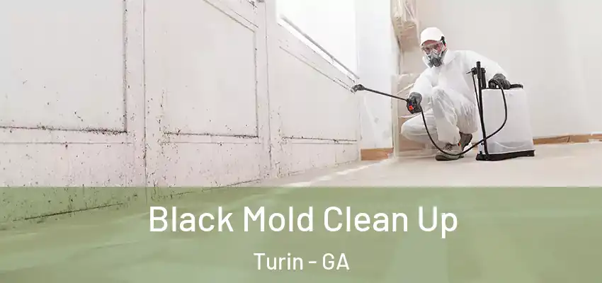  Black Mold Clean Up Turin - GA