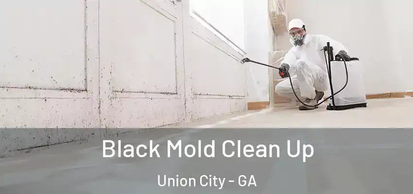 Black Mold Clean Up Union City - GA
