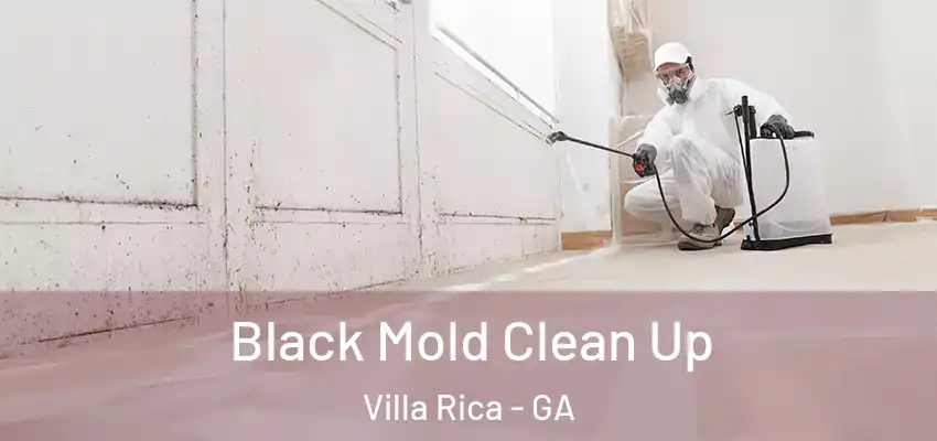 Black Mold Clean Up Villa Rica - GA