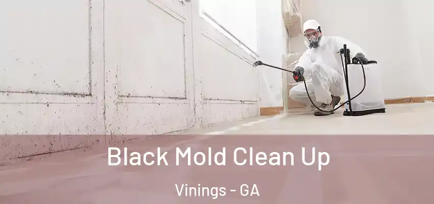 Black Mold Clean Up Vinings - GA