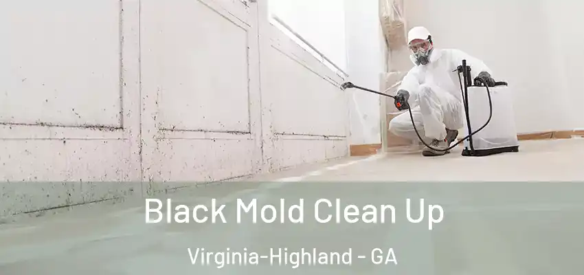 Black Mold Clean Up Virginia-Highland - GA