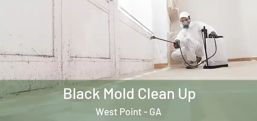 Black Mold Clean Up West Point - GA