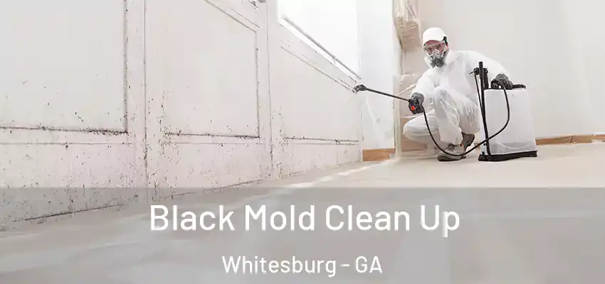  Black Mold Clean Up Whitesburg - GA
